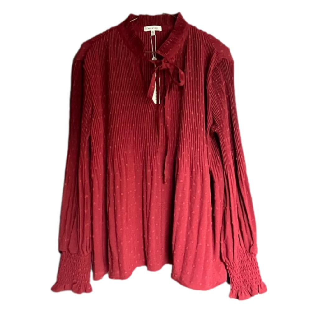 NWT Max Studio Accordion Pleat Bishop Sleeve Swiss Dot Blouse Terracotta Red M - Picture 2 of 7